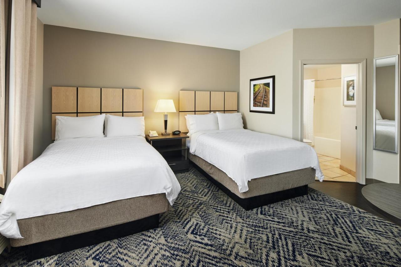 Studio Suite with Two Double Beds