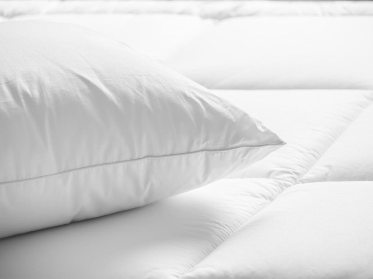 Allergy Friendly Room with Two Queen Beds and Sofa Bed