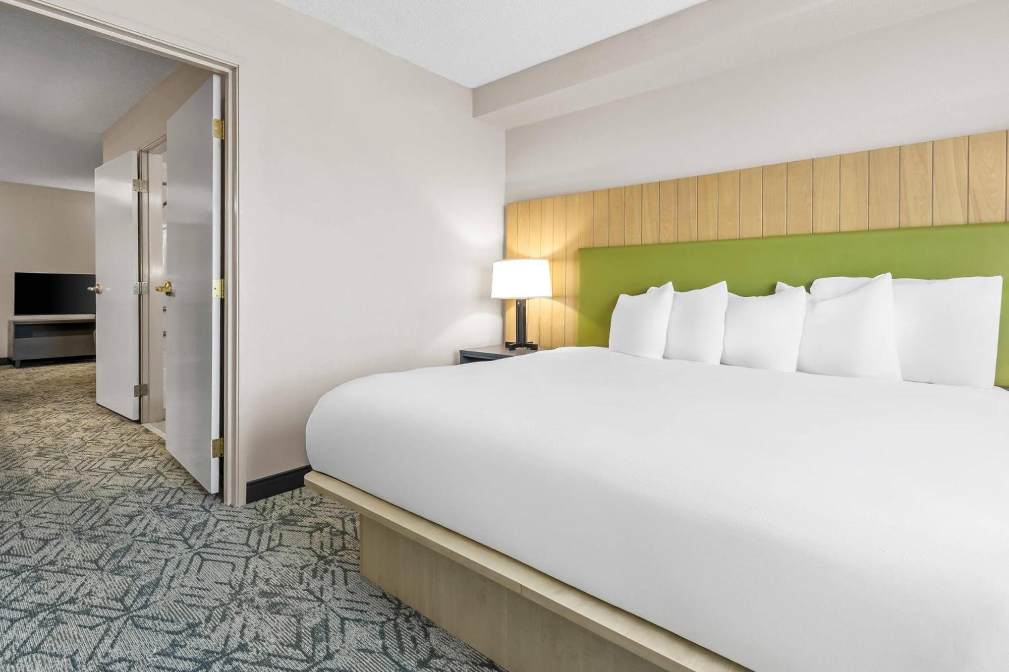 One-Bedroom King Suite Non-Smoking